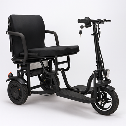 FlexCruze Duo Electric Trike